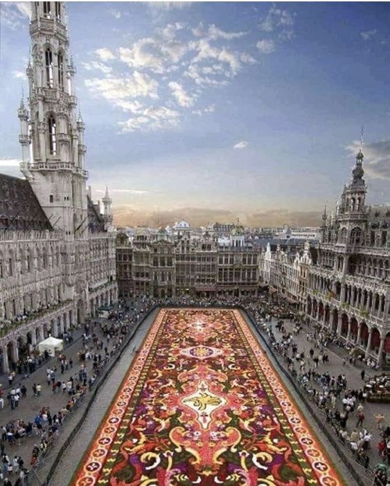 Grand Place Meydanı / 2 Yılda Bir Yapılan Motifli Çiçek Halı