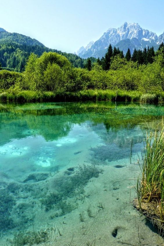Slovenya