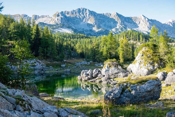 Slovenya Rehberi 2023